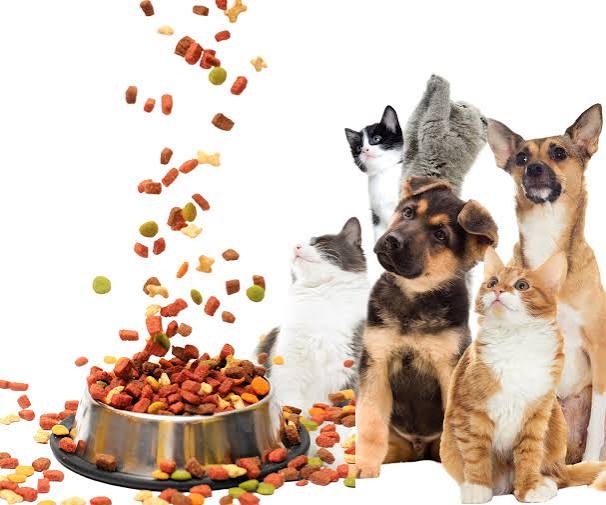 Pedigree Adult Dog Food 10 kg